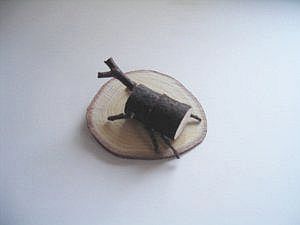 簡単工作　木製カブトムシ